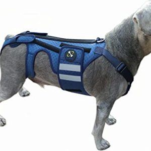 Extra Large Coodeo Dog Back Brace for Dogs